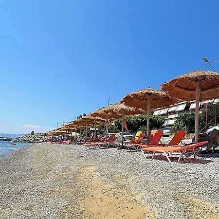 Pharos 4*